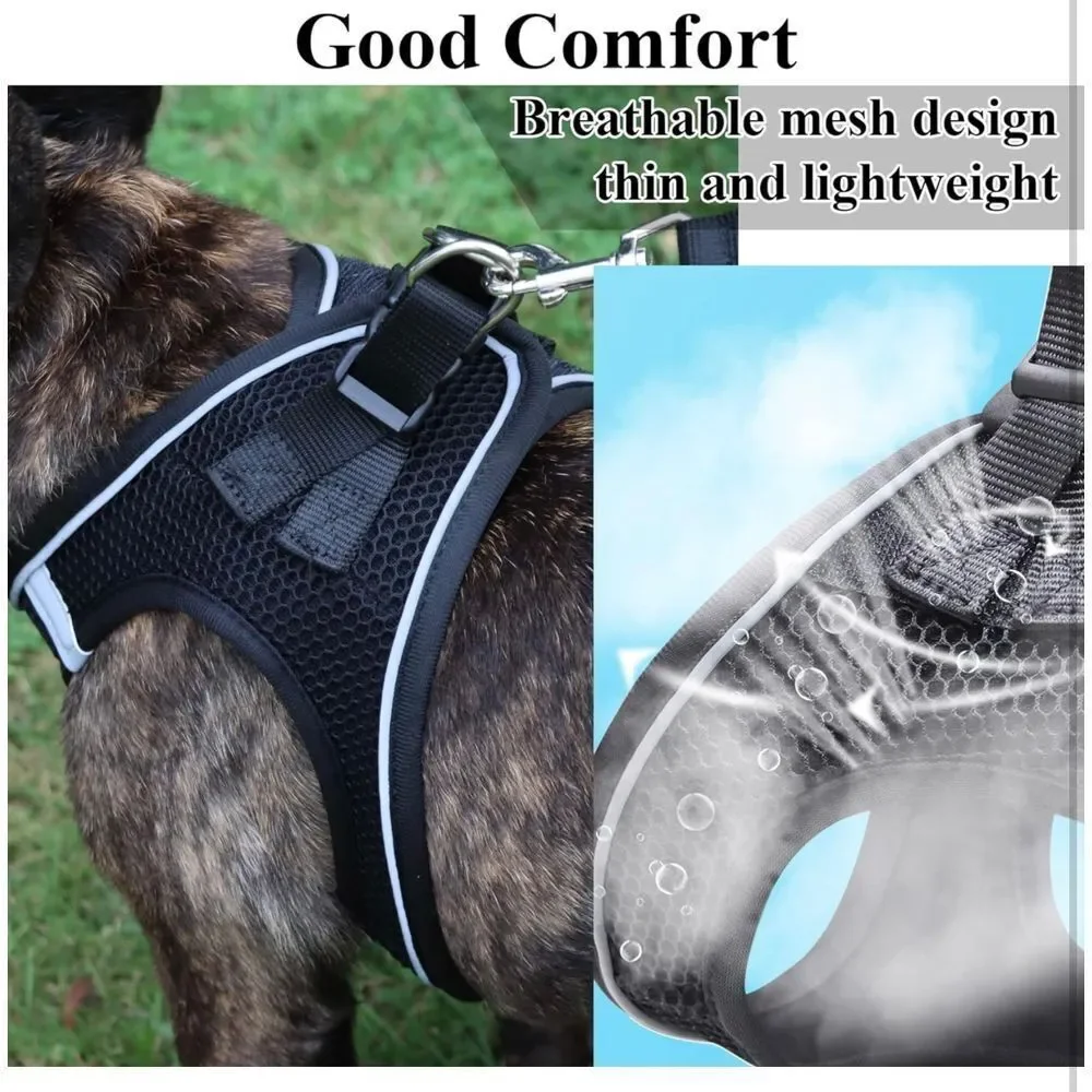 Dog Harness Vest‎ for Small and Medium Dogs No Pull and Leash Set, L